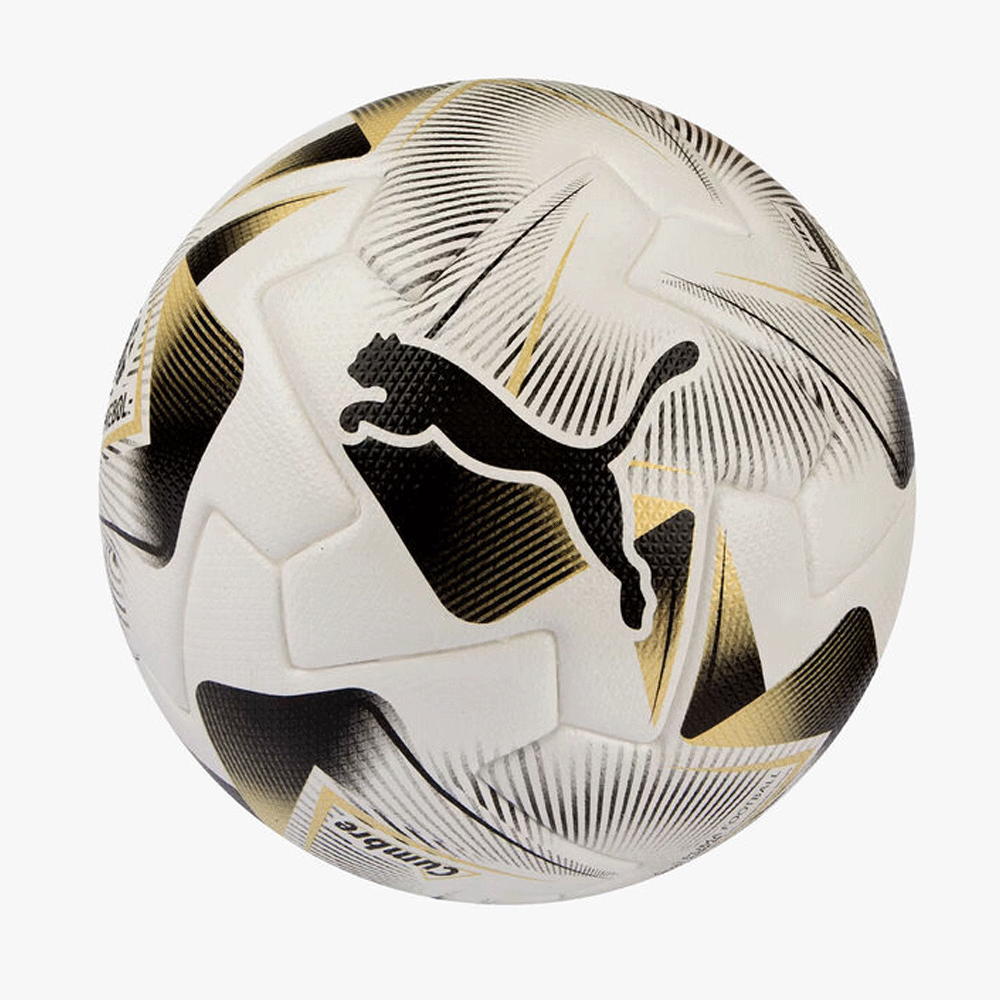 Pelota de Fútbol Puma Copa Libertadores Temporada 24