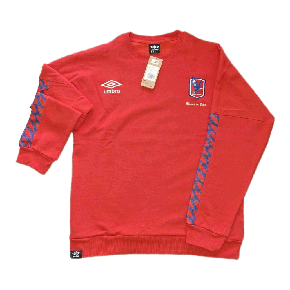 Polerón Selección Chile de Rugby